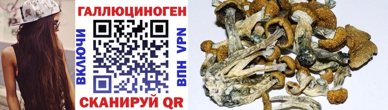 Галлюциногенные грибы MAGIC MUSHROOMS  цены наркотик  Красный Кут 